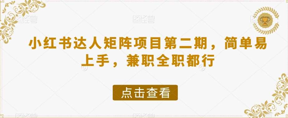 小红书达人矩阵项目第二期，简单易上手，兼职全职都行-讯领网创