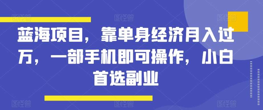 蓝海项目，靠单身经济月入过万，一部手机即可操作，小白首选副业【揭秘】-讯领网创