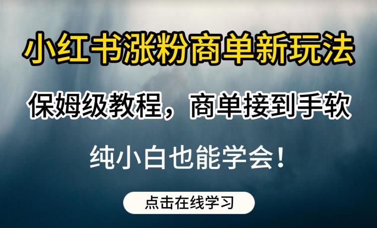 小红书涨粉商单新玩法，保姆级教程，商单接到手软，纯小白也能学会【揭秘】-讯领网创