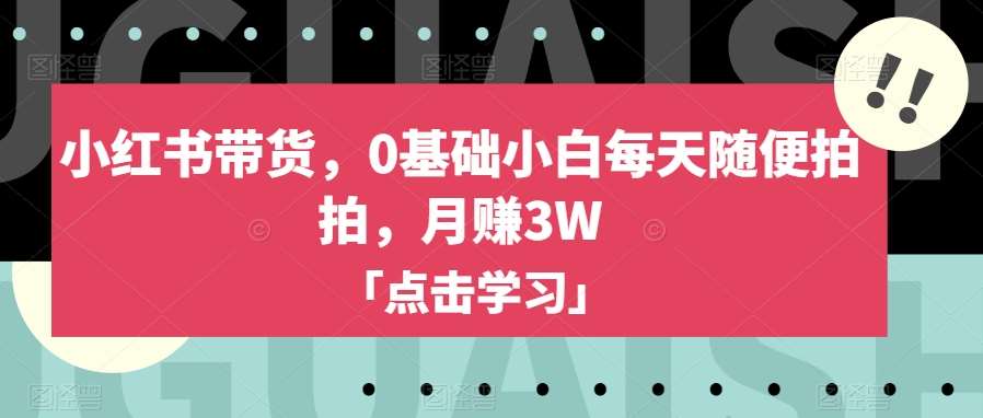 小红书带货，0基础小白每天随便拍拍，月赚3W【揭秘】-讯领网创