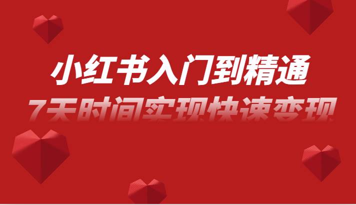 小红书入门到精通课，无货源电商实操运营，7天时间实现快速变现-讯领网创