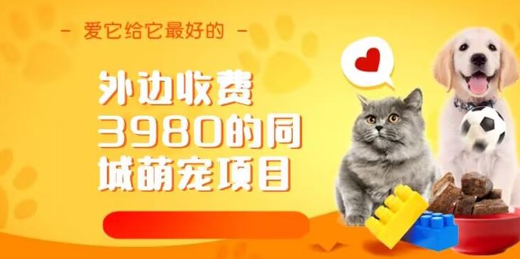 外边收费3980的同城萌宠项目，用最冷门的玩法冲击最热门的市场【揭秘】-讯领网创