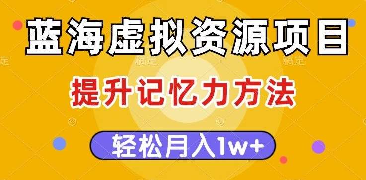 蓝海虚拟资源项目，提升记忆力方法，多种变现方式，轻松月入1w+【揭秘】-讯领网创