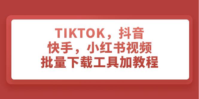 （7714期）TIKTOK，抖音，快手，小红书视频批量下载工具加教程-讯领网创