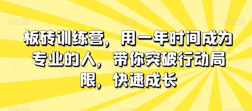 板砖训练营，用一年时间成为专业的人，带你突破行动局限，快速成长-讯领网创