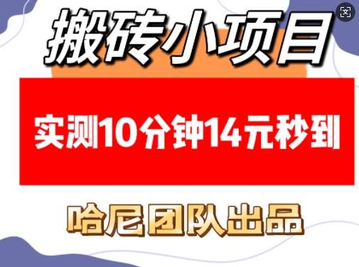 搬砖小项目，实测10分钟14元秒到，每天稳定几张(赠送必看稳定)-讯领网创