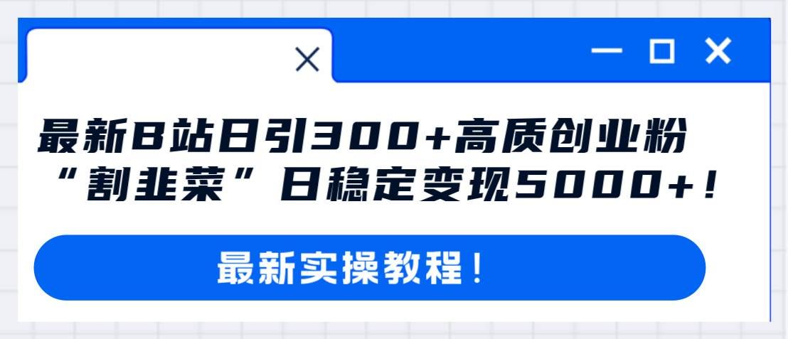 （8216期）最新B站日引300+高质创业粉教程！“割韭菜”日稳定变现5000+！-讯领网创