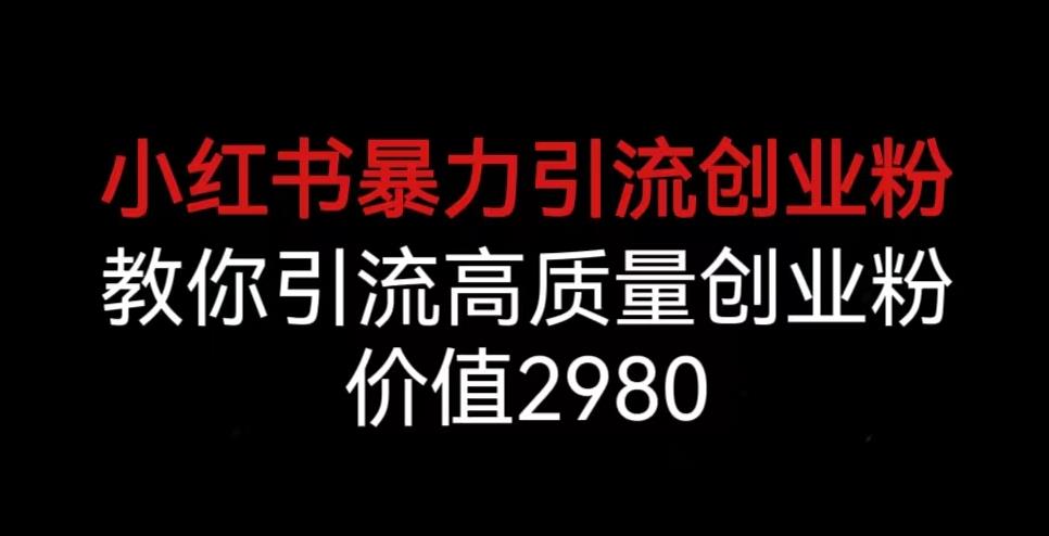 小红书暴力引流创业粉，教你引流高质量创业粉，价值2980【揭秘】-讯领网创