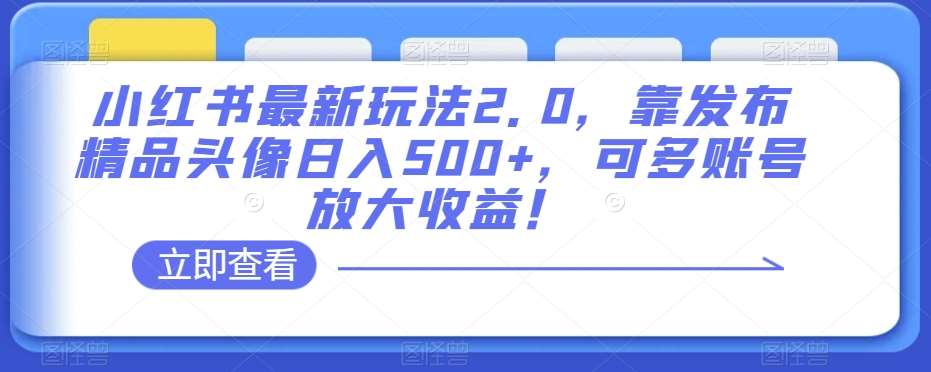 小红书最新玩法2.0，靠发布精品头像日入500+，可多账号放大收益！【揭秘】-讯领网创