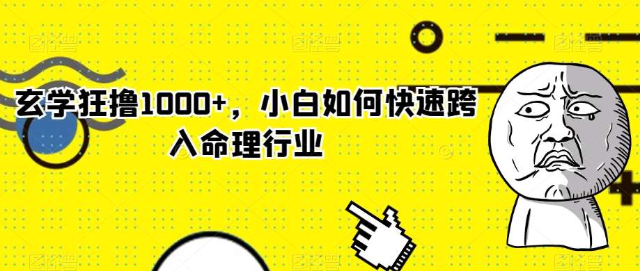 玄学狂撸1000+，小白如何快速跨入命理行业【揭秘】-讯领网创
