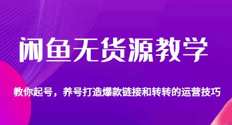 闲鱼无货源教学，教你起号，养号打造爆款链接以及转转的运营技巧-讯领网创