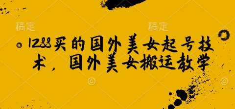 1288买的国外美女起号技术，国外美女搬运教学-讯领网创