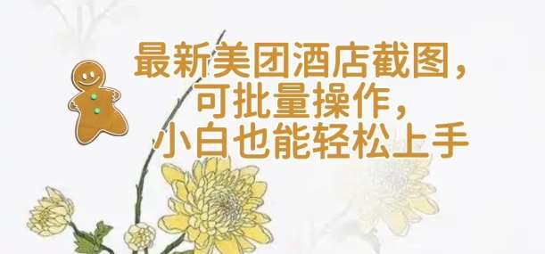 【轻云】最新美团酒店截图，可批量操作，小白也能轻松上手-讯领网创