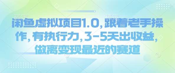 闲鱼虚拟项目1.0，跟着老手操作，有执行力，3-5天出收益，做离变现最近的赛道-讯领网创