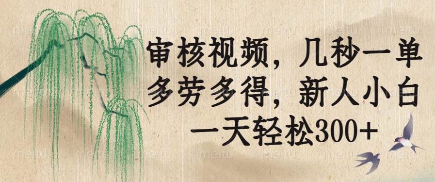（14202期）审核视频，几秒一单，多劳多得，新人小白一天轻松300+-讯领网创