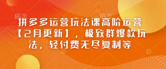 拼多多运营玩法课高阶运营【2月更新】，极致群爆款玩法，轻付费无尽复制等-讯领网创