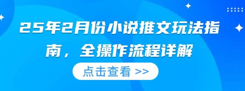 25年2月份小说推文玩法指南，全操作流程详解-讯领网创