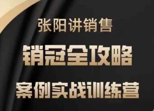 张阳讲销售实战训练营，​案例实战训练，销冠全攻略-讯领网创