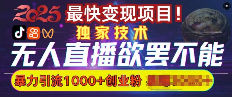 欲罢不能的无人直播引流，超暴力日引流1000+高质量精准创业粉-讯领网创