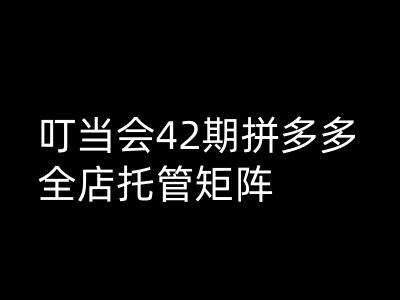 叮当会拼多多打爆班原创高阶技术第42期，拼多多全店托管矩阵-讯领网创