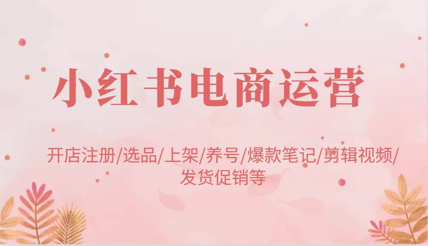 小红书电商运营：开店注册/选品/上架/养号/爆款笔记/剪辑视频/发货促销等-讯领网创