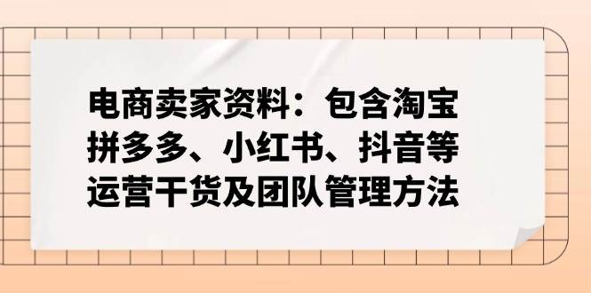（14354期）电商卖家资料：包含淘宝、拼多多、小红书、抖音等运营干货及团队管理方法-讯领网创
