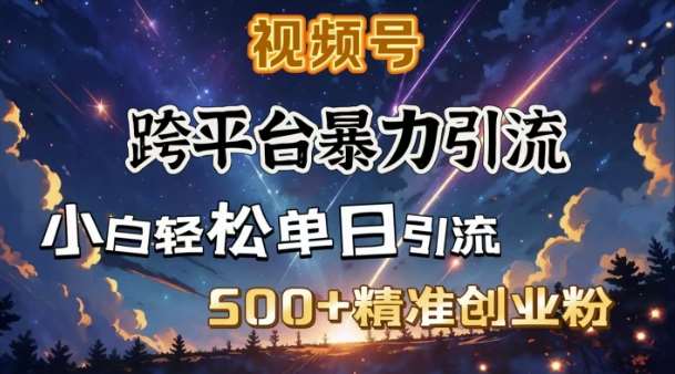 跨平台暴力引流，私域完美闭环，日引500+精准创业粉-讯领网创