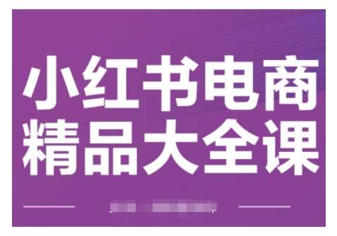 小红书电商精品大全课，快速掌握小红书运营技巧，实现精准引流与爆单目标，轻松玩转小红书电商-讯领网创