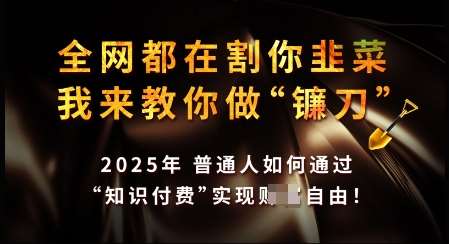 知识付费如何做到月入过W+，2025我来教你做“镰刀”【揭秘】-讯领网创