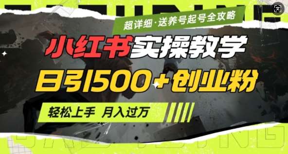 2月小红书最新日引500+创业粉实操教学【超详细】小白轻松上手，月入1W+，附小红书养号起号SOP-讯领网创