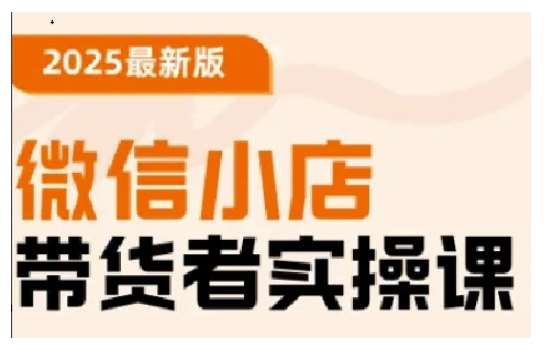 2025最新版微信小店带货者实操课，基础操作到高级运营技巧，快速上手-讯领网创