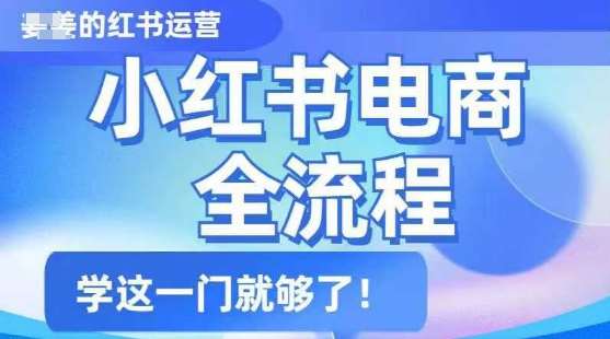 小红书电商全流程，精简易懂，从入门到精通，学这一门就够了-讯领网创