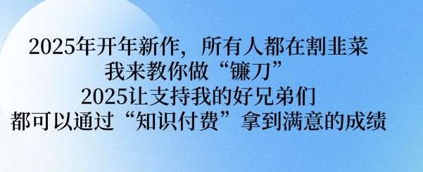 2025年开年新作，所有人都在割韭菜，我来教你做“镰刀” 2025让支持我的好兄弟们都可以通过“知识付费”拿到满意的成绩【揭秘】-讯领网创