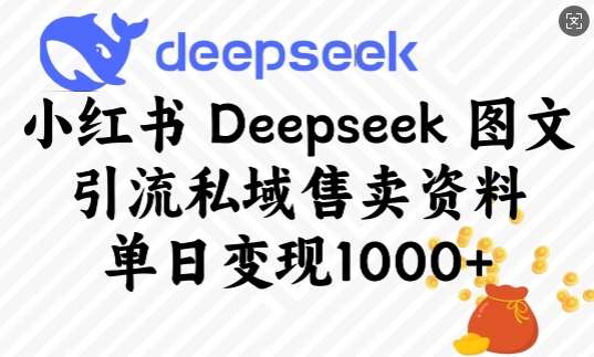 小红书Deepseek图文引流私域售卖资料，单日变现多张-讯领网创