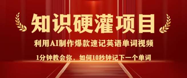 知识硬灌，10秒钟让你记住一个单词，3分钟一个视频，日入多张不是梦-讯领网创