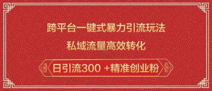 跨平台一键式暴力引流玩法，私域流量高效转化日引流300 +精准创业粉-讯领网创