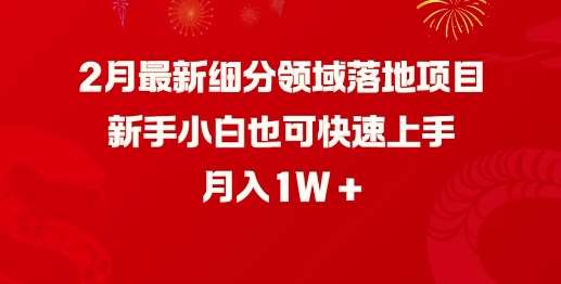 2月最新细分领域落地项目，新手小白也可快速上手，月入1W-讯领网创