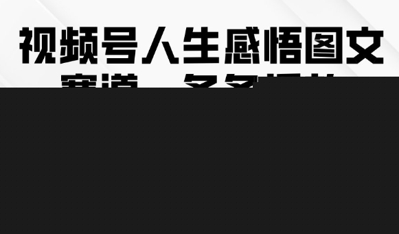 视频号人生感悟图文赛道，条条播放10w+，这个方法做视频号太牛了-讯领网创