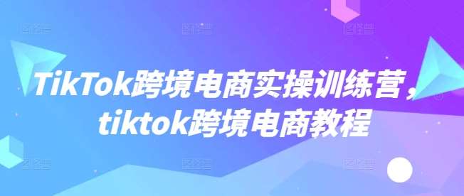 TikTok跨境电商实操训练营，tiktok跨境电商教程-讯领网创