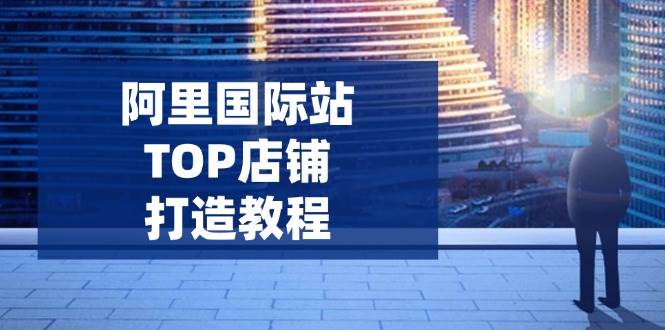 （14269期）阿里国际站TOP店铺打造教程：涵盖平台到高阶，解决运营难题，提升询盘-讯领网创