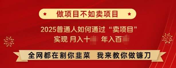 必看，做项目不如卖项目，2025普通人如何通过“卖项目”实现月入十个，年入百个-讯领网创