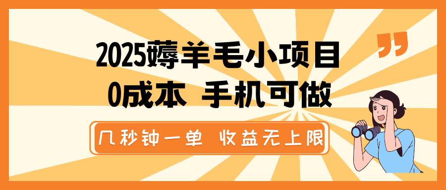 2025薅羊毛小项目，0成本 手机可做，几秒钟一单，收益无上限-讯领网创