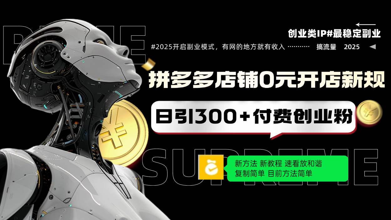 （14092期）拼多多店铺0元开店新规，日引300+付费创业粉，目前方法简单复制粘贴可矩阵-讯领网创