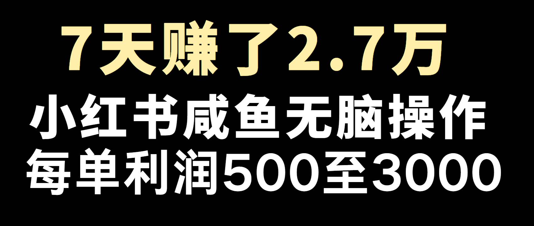 全网首发，7天赚了2.6万，2025利润超级高！-讯领网创