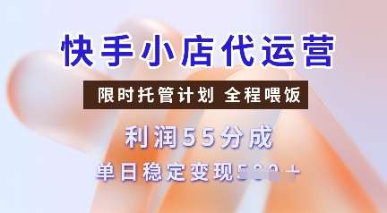快手小店代运营，限时托管计划，收益55分，单日稳定变现多张【揭秘】-讯领网创