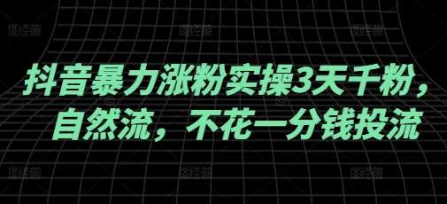 抖音暴力涨粉实操3天千粉，自然流，不花一分钱投流，实操经验分享-讯领网创