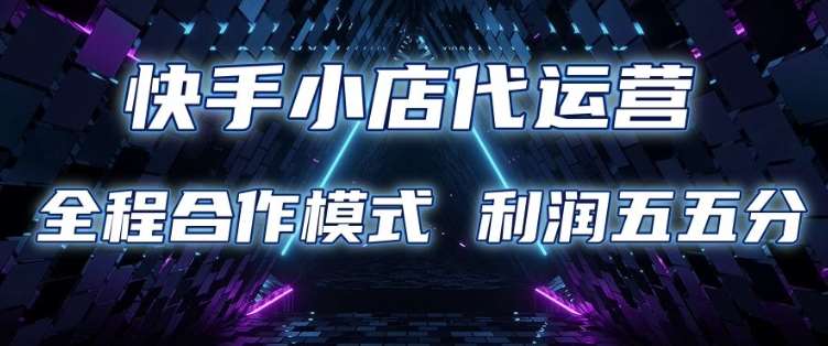 快手小店代运营 限时托管计划 合作模式 利润五五分成【揭秘】-讯领网创