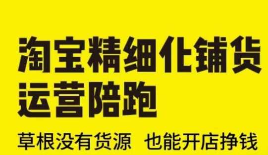 淘宝精细化铺货运营陪跑(部分更新至2025)，草根没有货源 也能开店挣钱-讯领网创