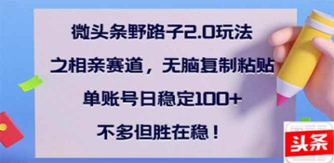 （14334期）微头条野路子2.0玩法之相亲赛道，无脑搬砖复制粘贴，单账号日稳定300+…-讯领网创