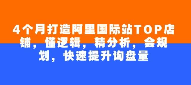 4个月打造阿里国际站TOP店铺，懂逻辑，精分析，会规划，快速提升询盘量-讯领网创